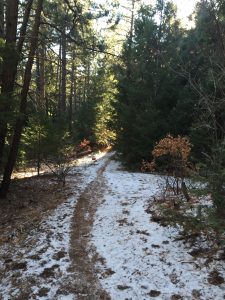 snowy-path