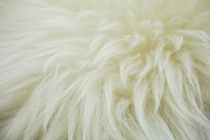 texture fleece