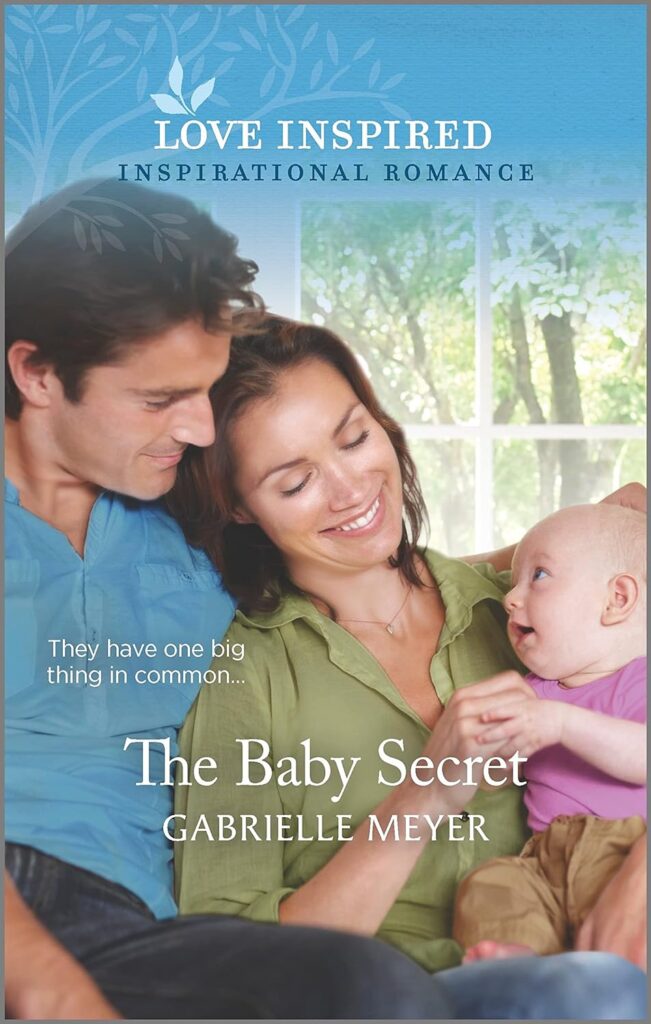 The Baby Secret by Gabrielle Meyer